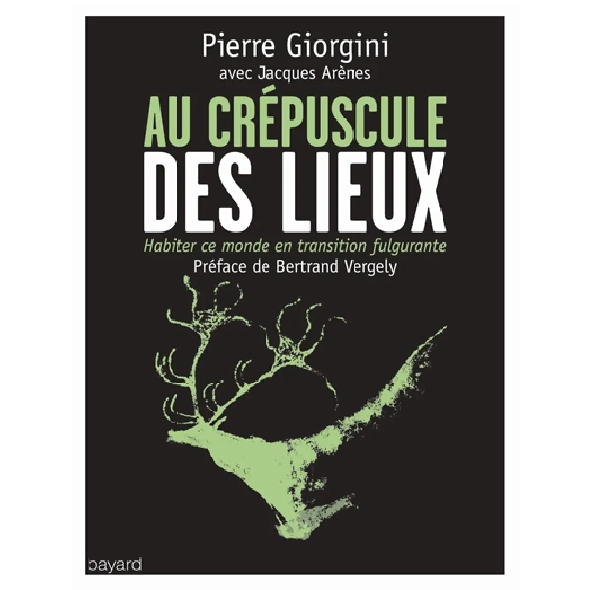 Au crépuscule des lieux : habiter ce monde en transition fulgurante · Occasion