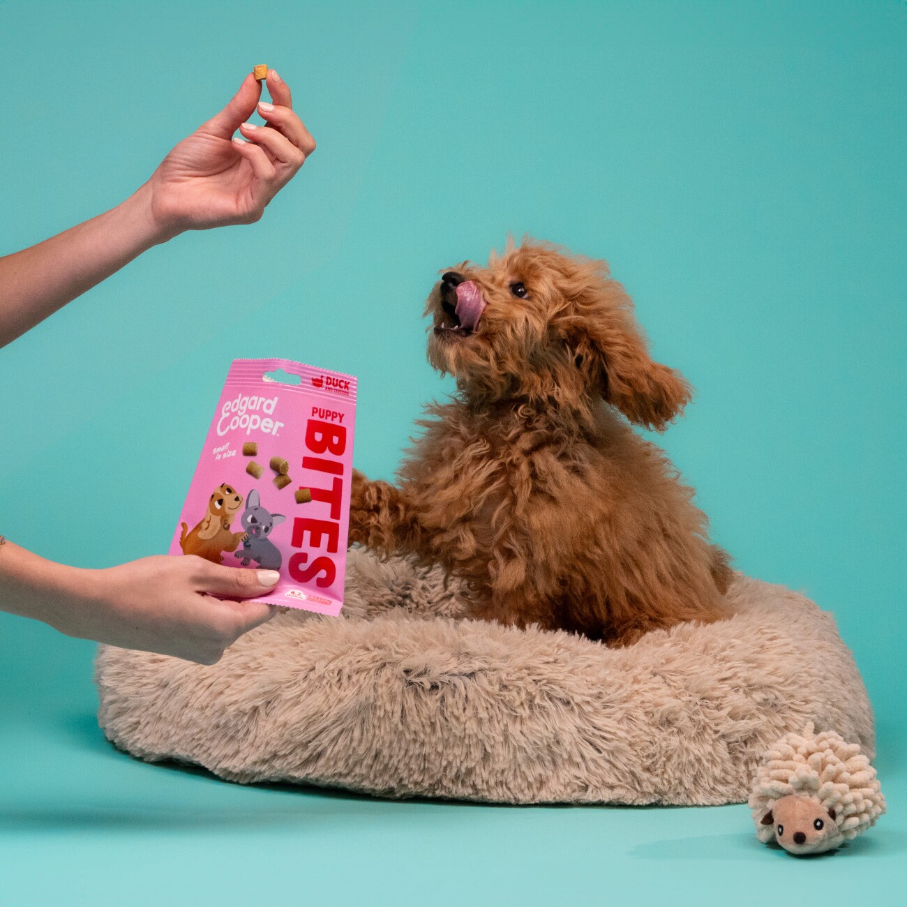Edgard & Cooper Bites Welpe Ente & Huhn 50 g