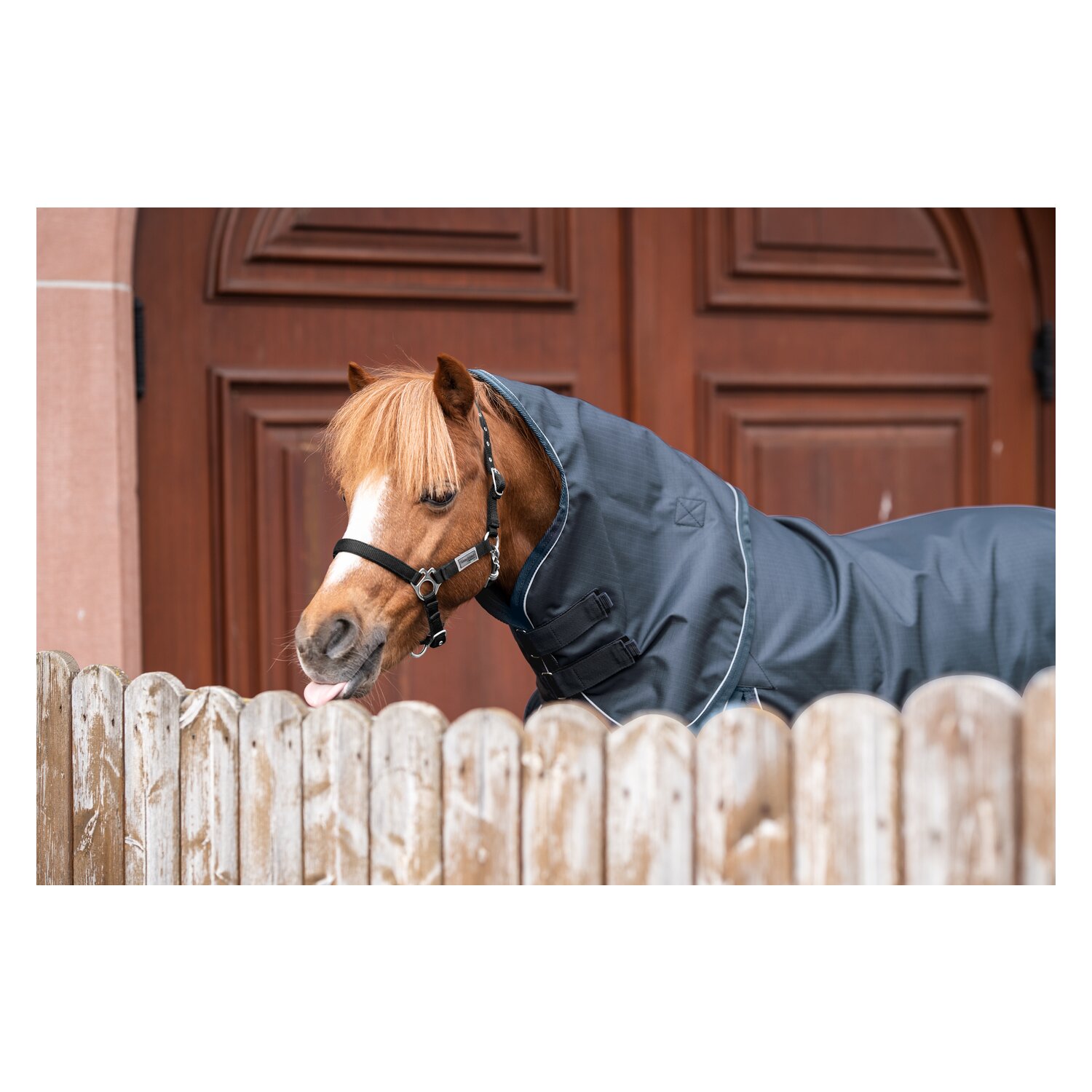 Horse-friends Outdoordecke - indigoblue