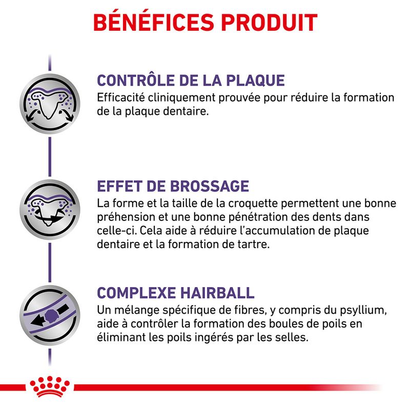 Royal Canin Expert Dental