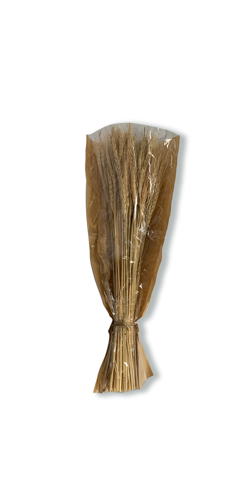 Trockenblumen-Bouquet 'Weizen', H 60 cm von fischer's lagerhaus