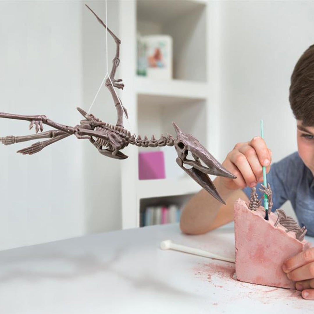 4m dinosaurus opgraven - pteranodon