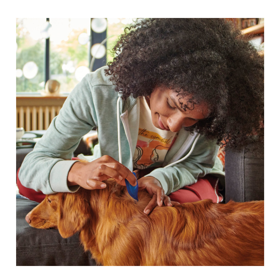 Pipetas Beaphar FiproTec para cães de raças grandes