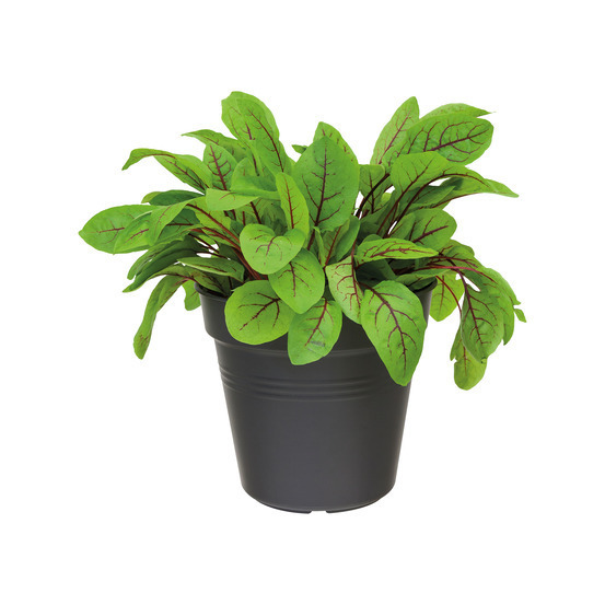 Pot Provence en plastique, noir Ø 17 cm