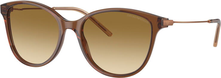 Michael Kors sunglasses Shiny transparent light brown