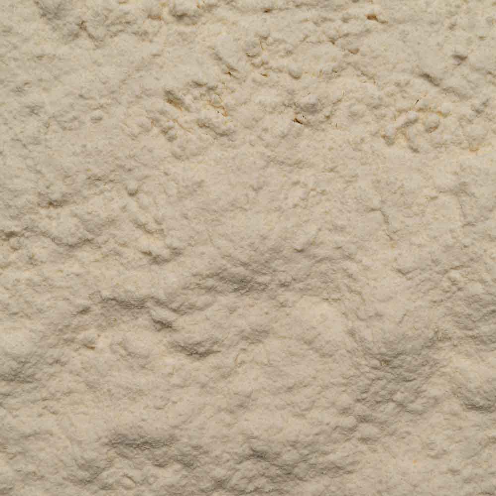 Biotiva Mango Pulver gefriergetrocknet Bio