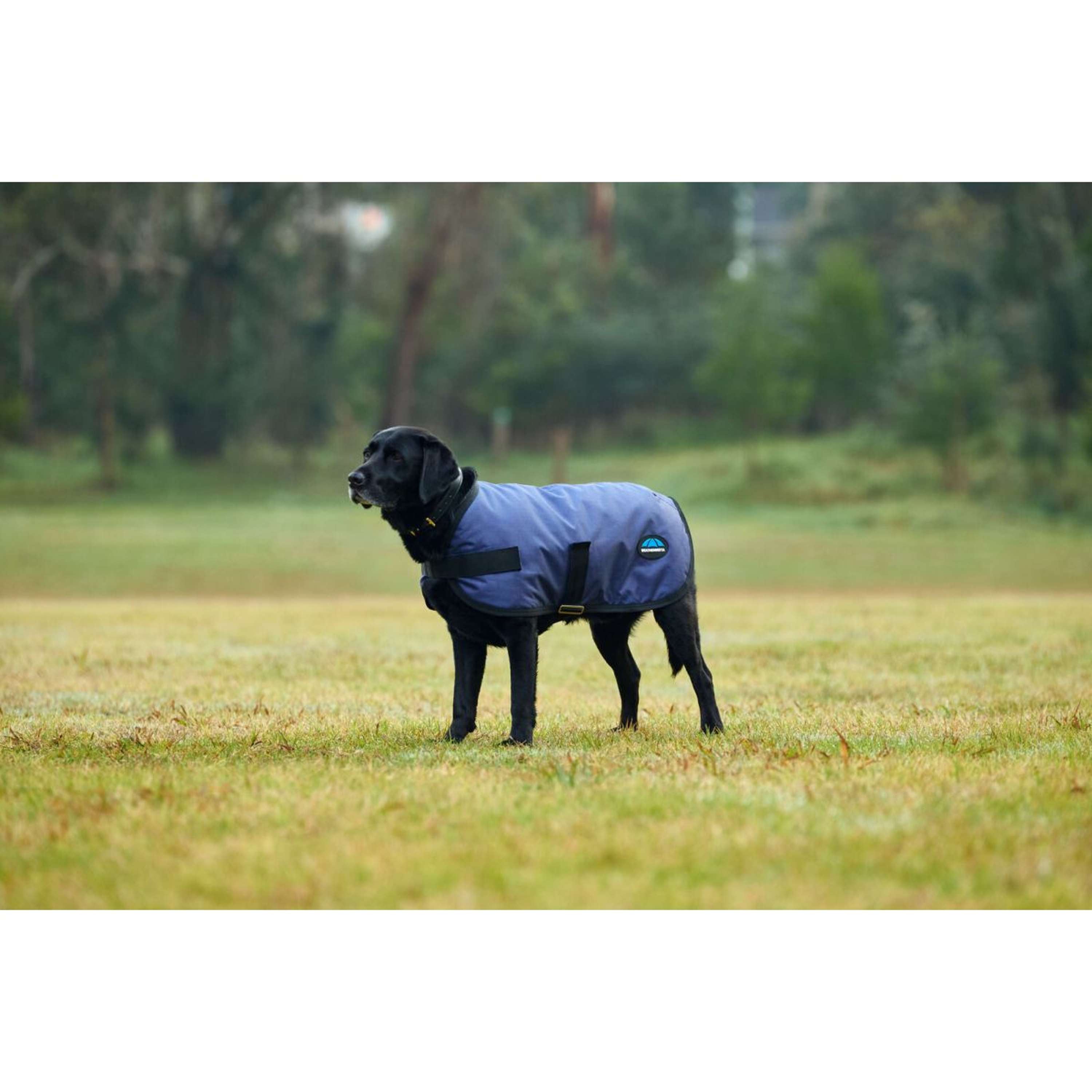 WeatherBeeta Hondendeken ComFiTec Classic Waterproof Navy