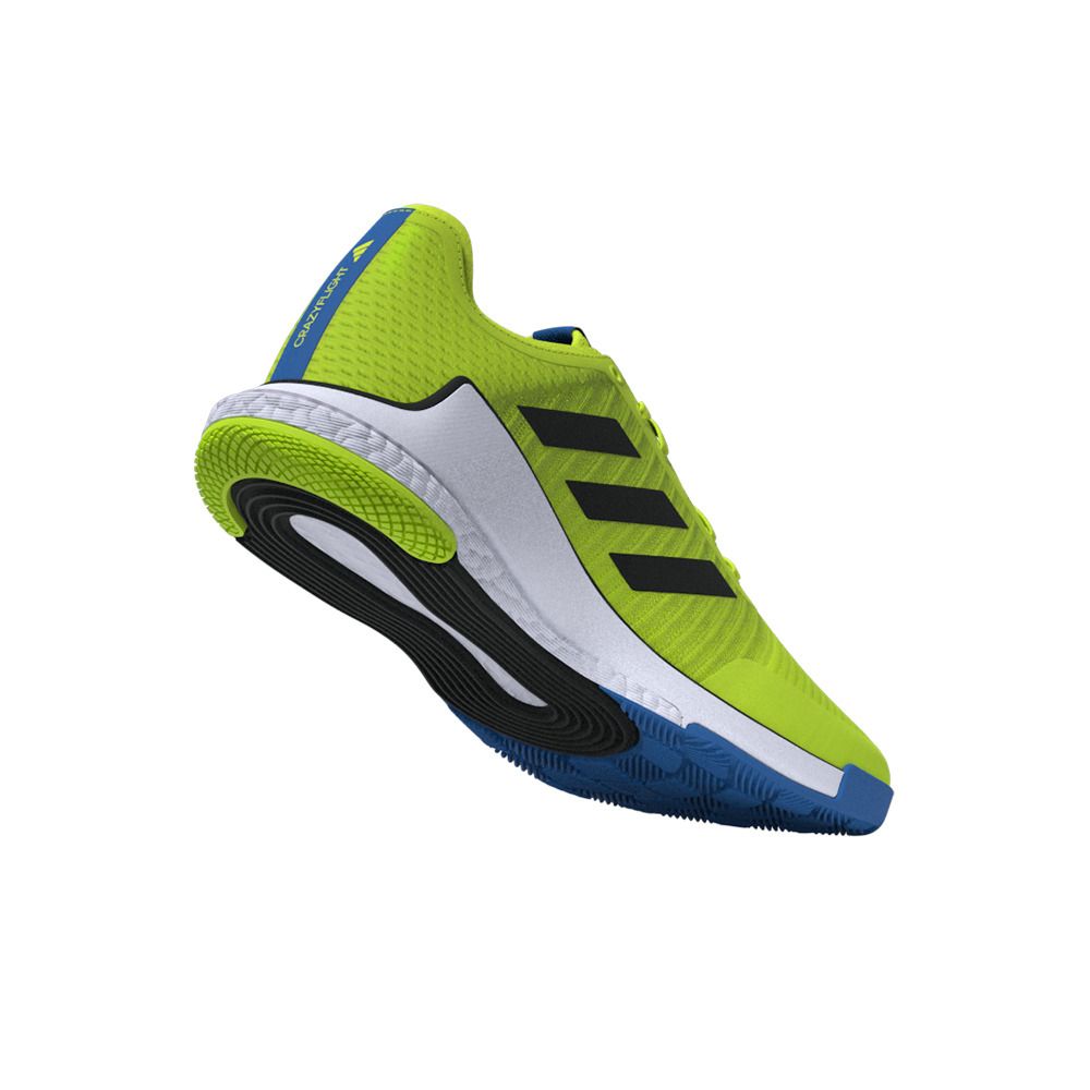 Adidas Performance CRAZYFLIGHT - Chaussures volleyball Homme luclem/cblack/broyal