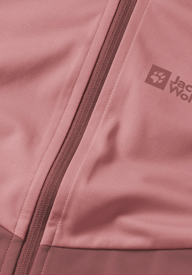 Jack Wolfskin Softshelljacke »GO HIKE SOFTSHELL W« mit Kapuze
