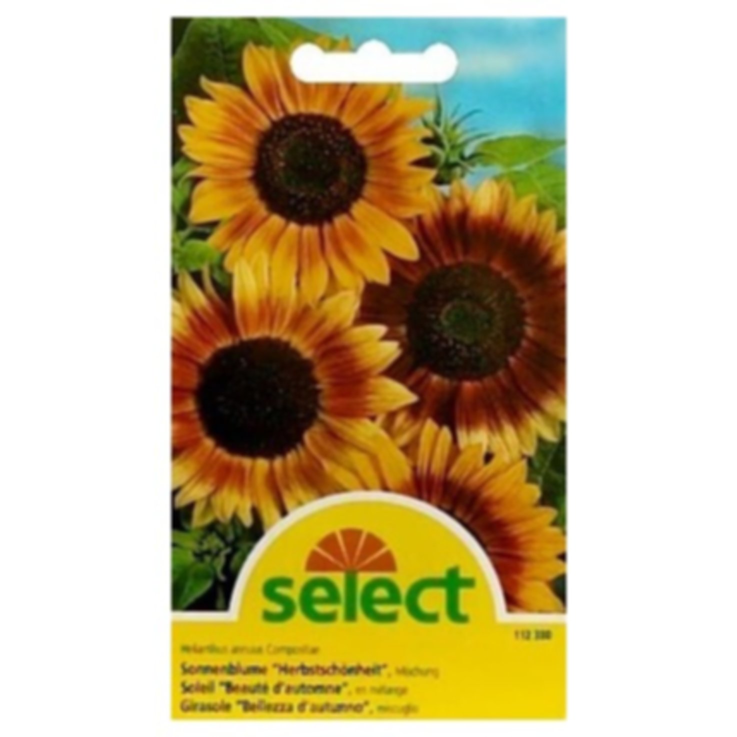 Select Sonnenblume Herbstschönheit
