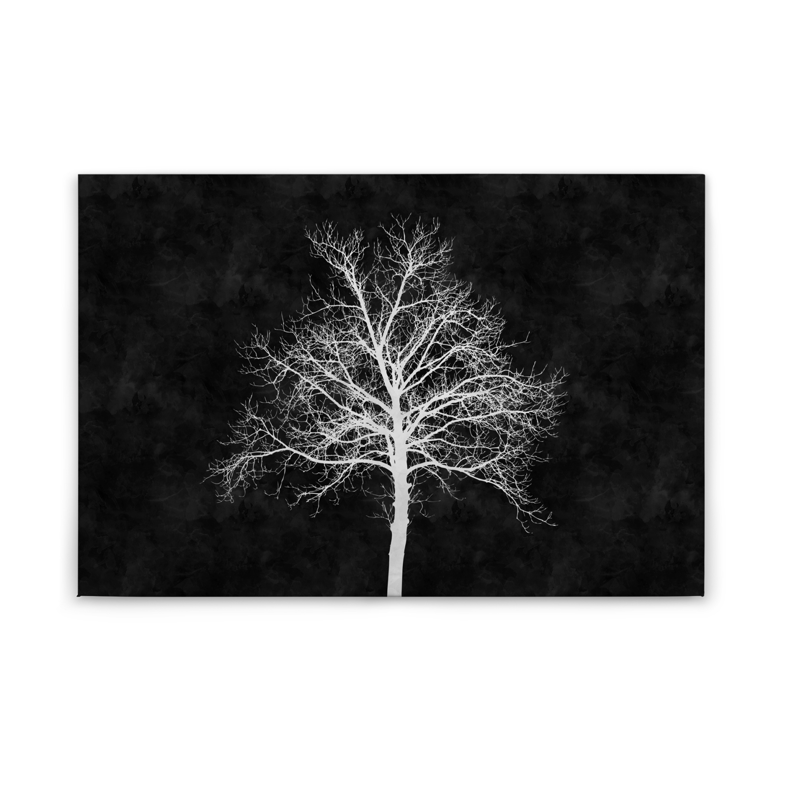 Leinwandbild BAUM - schwarz-weiß - 90x60 cm