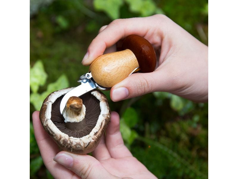 Kikkerland Schlüsselanhänger Pilz Braun Schlüsselring