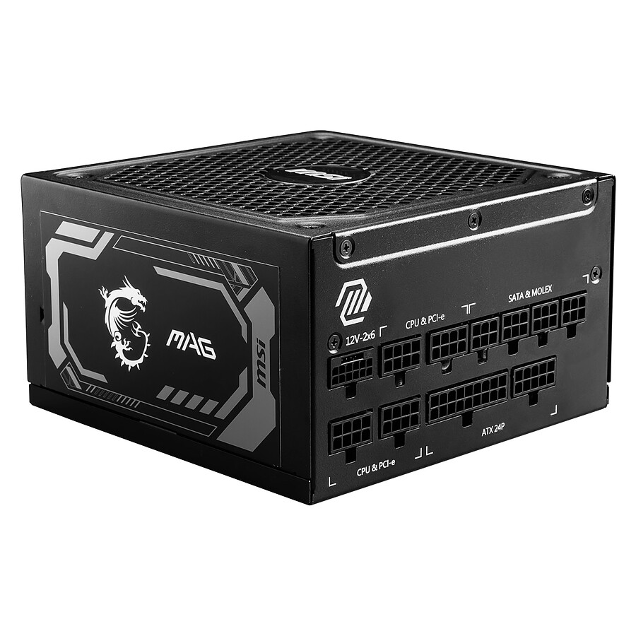 MSI MAG A1250GL PCIE5