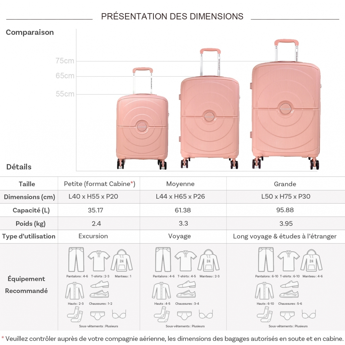 David Jones Lot 3 valises rigides dont 1 valise cabine David Jones TSA PETE
