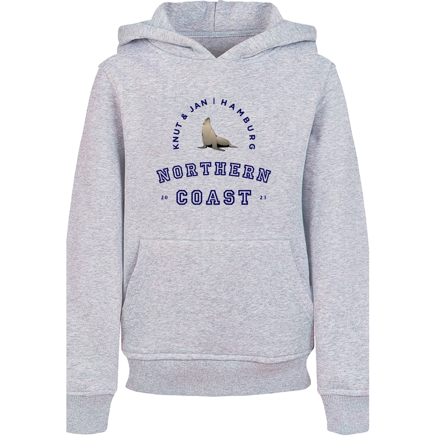 F4NT4STIC Hoodie Robbe Knut & Jan Hamburg heather grey