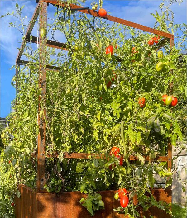 Palatino Cortenstahl-Tomatenhaus, braun, ca.