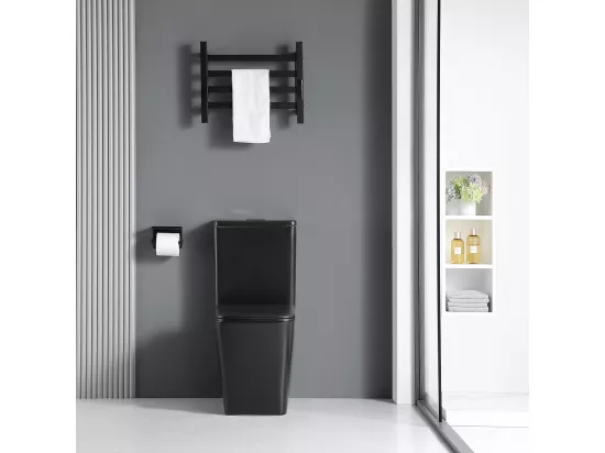Toilette WC à poser BRAGADO en céramique noir mat