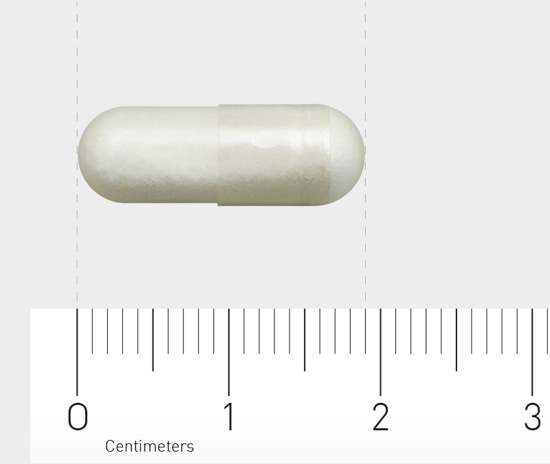 Orthica Nicotinamide 500 (60 vega capsules)