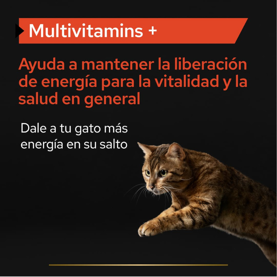 Pro Plan Multivitamins + para gatos