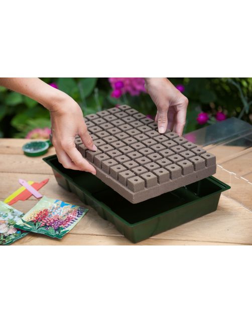 Nature Kweekbakset - Kweekbakken - 23.5x35x11 cm Groen Transparant
