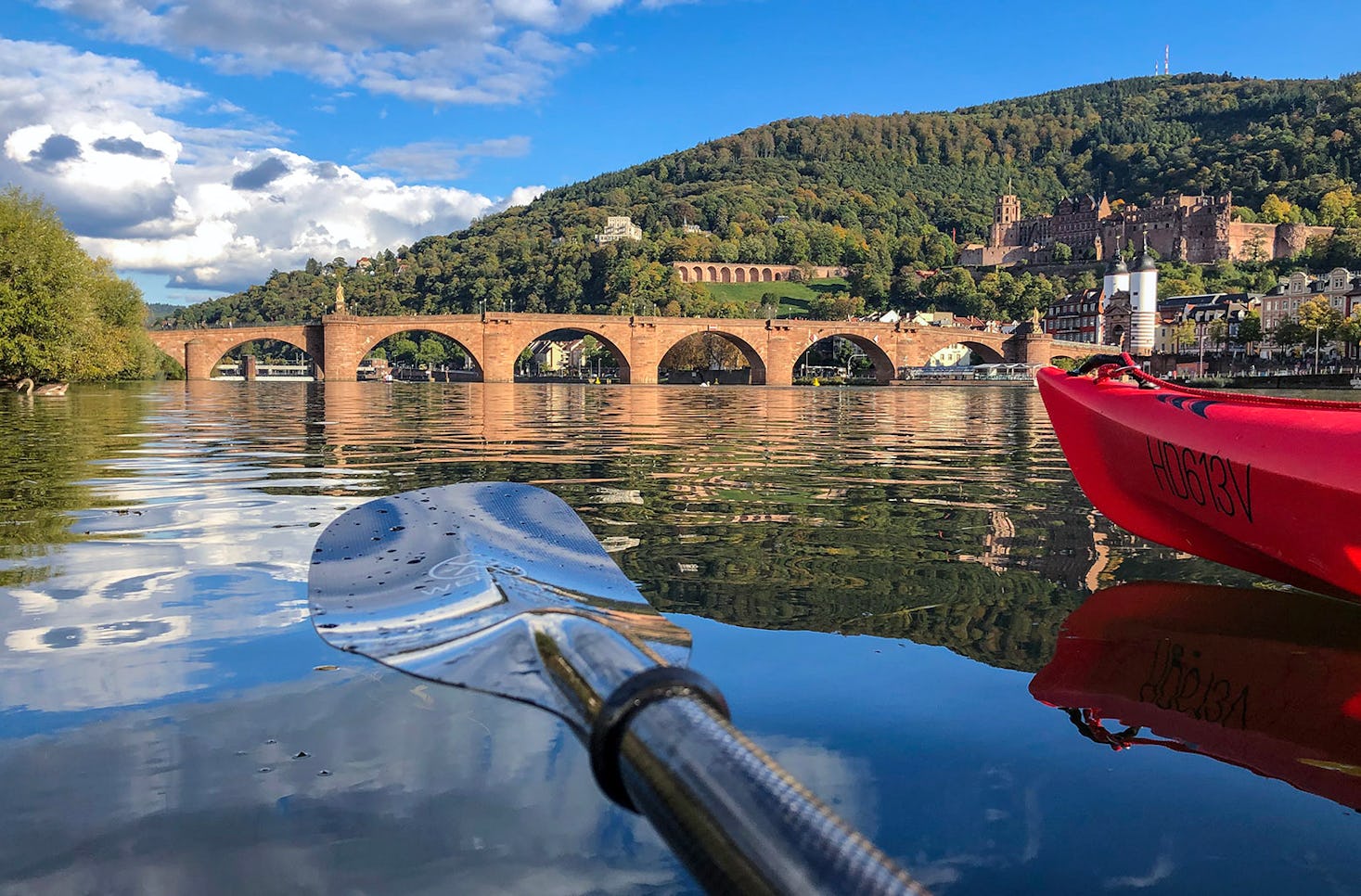 Paddle Tour Heidelberg