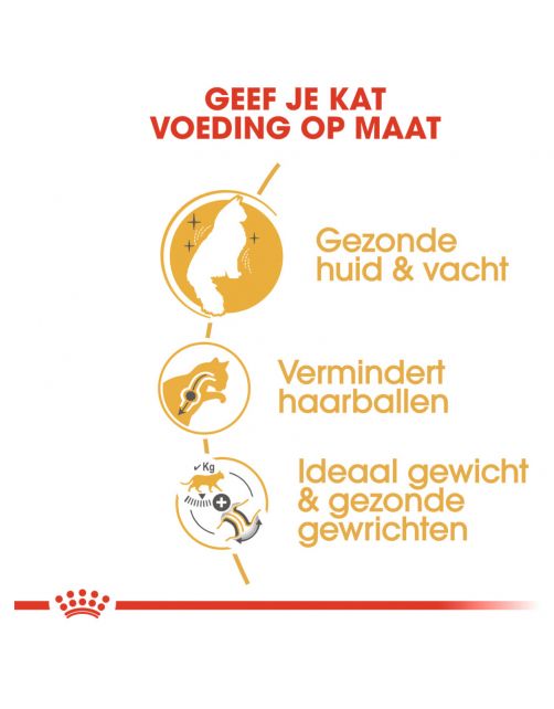 Royal Canin Norwegian Forest Cat Adult - Kattenvoer