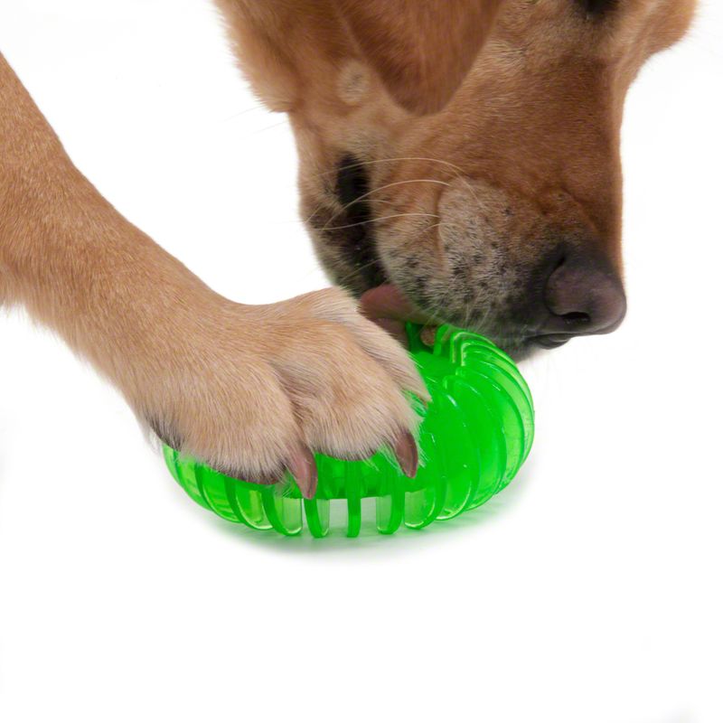 Lot de 3 jouets pour chien