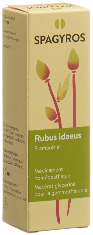 Spagyros Rubus idaeus Glyc Maz 1 D Spr 30 ml