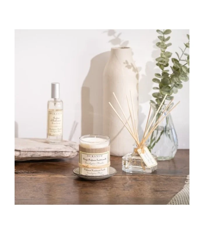 Parfum d'Ambiance Eucalyptus Menthe 100 ml
