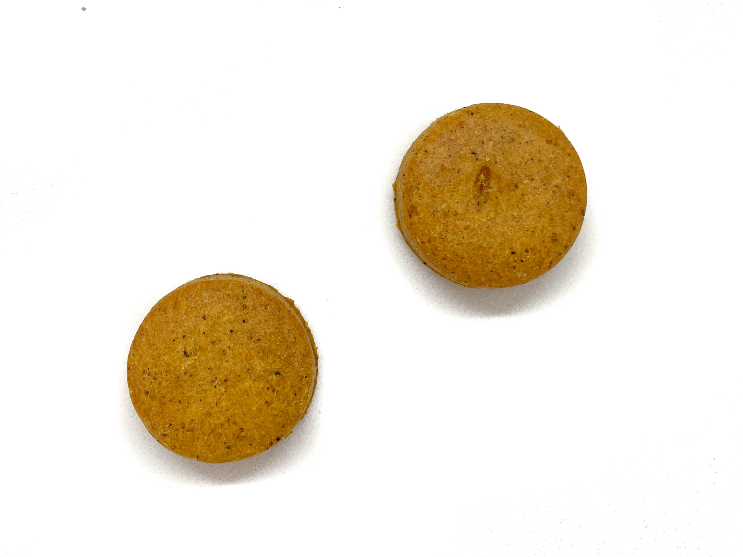 FlooppBITES Pacote de Biscoitos 100% Naturais, Sabores Sortidos