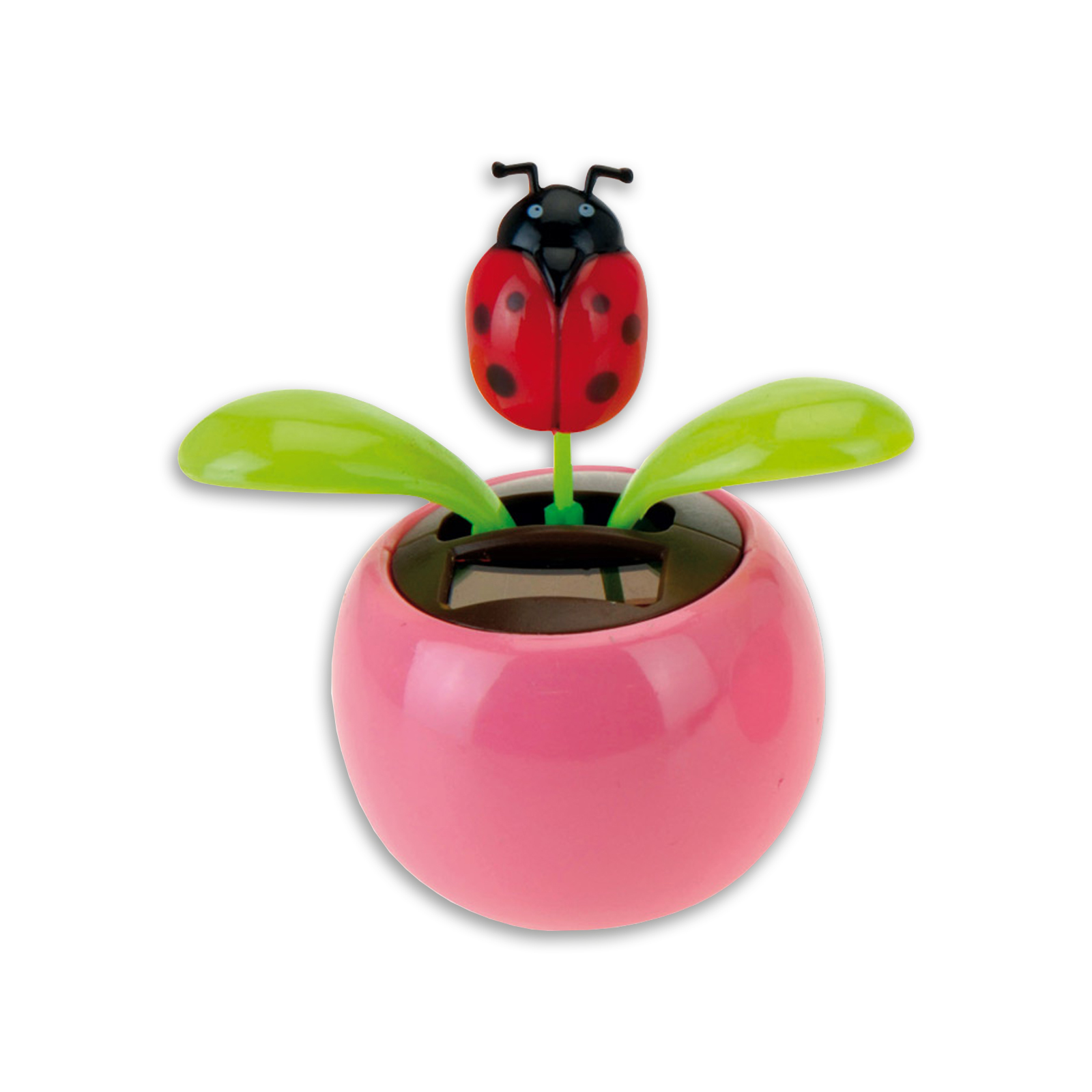 Solar-Wackelblume - 10 cm hoch - sortiertes Design
