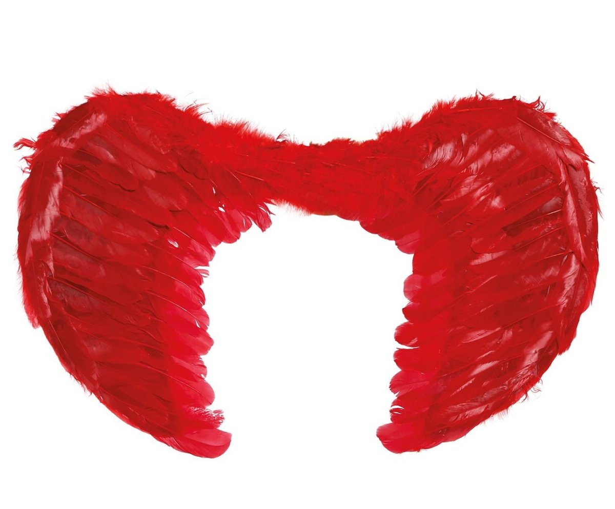 Rode Vleugels Veren 60x45cm