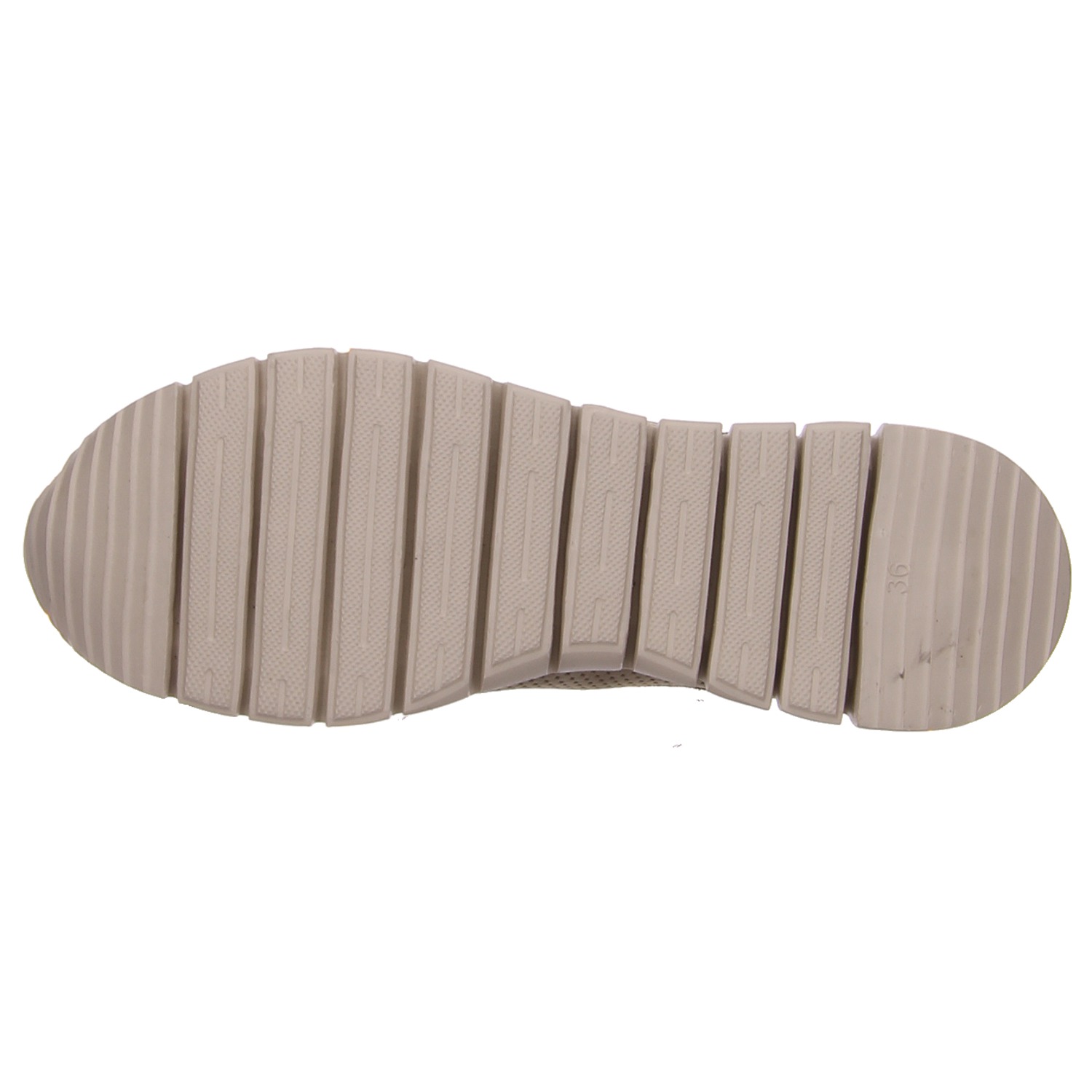 elbandi Sneaker taupe grau