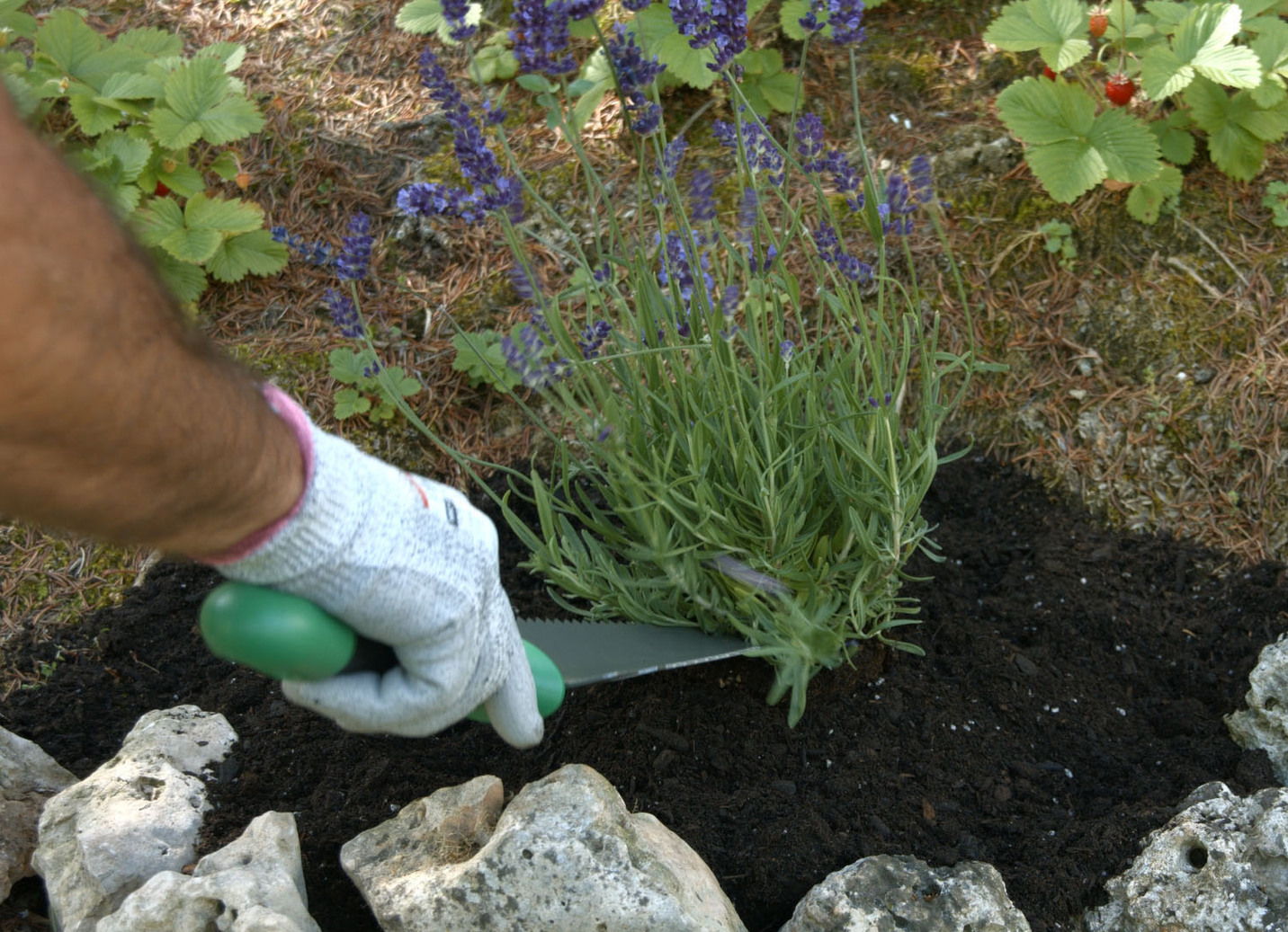 Mehrzweck-Schaufel Root Digger