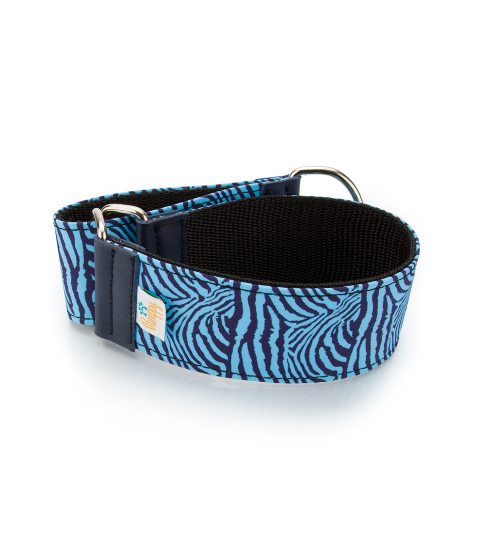Coleira para cães Pappy Galgo Speedy Zebra Azul