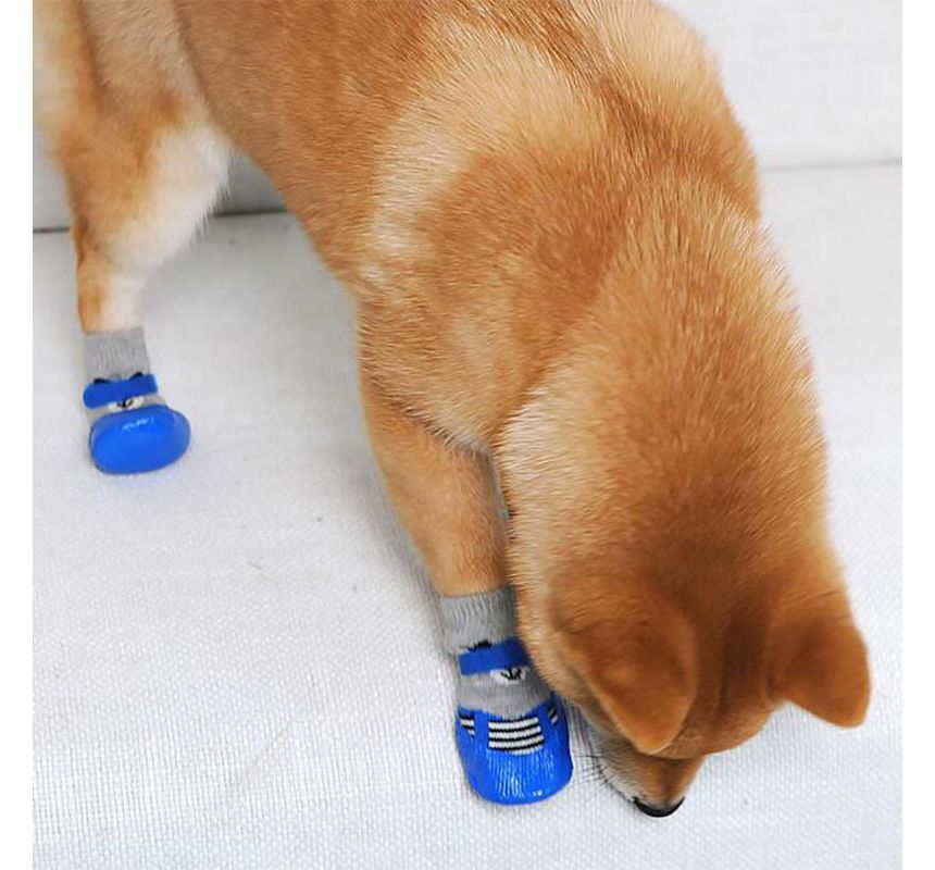 Everlupid - Schoenen voor huisdieren