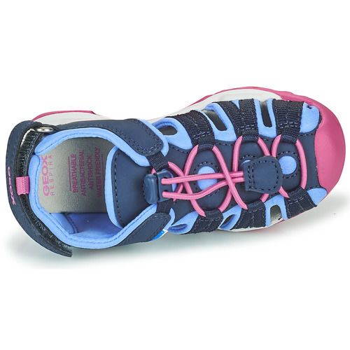 Geox - BOREALIS GIRL - Bleu / Rose