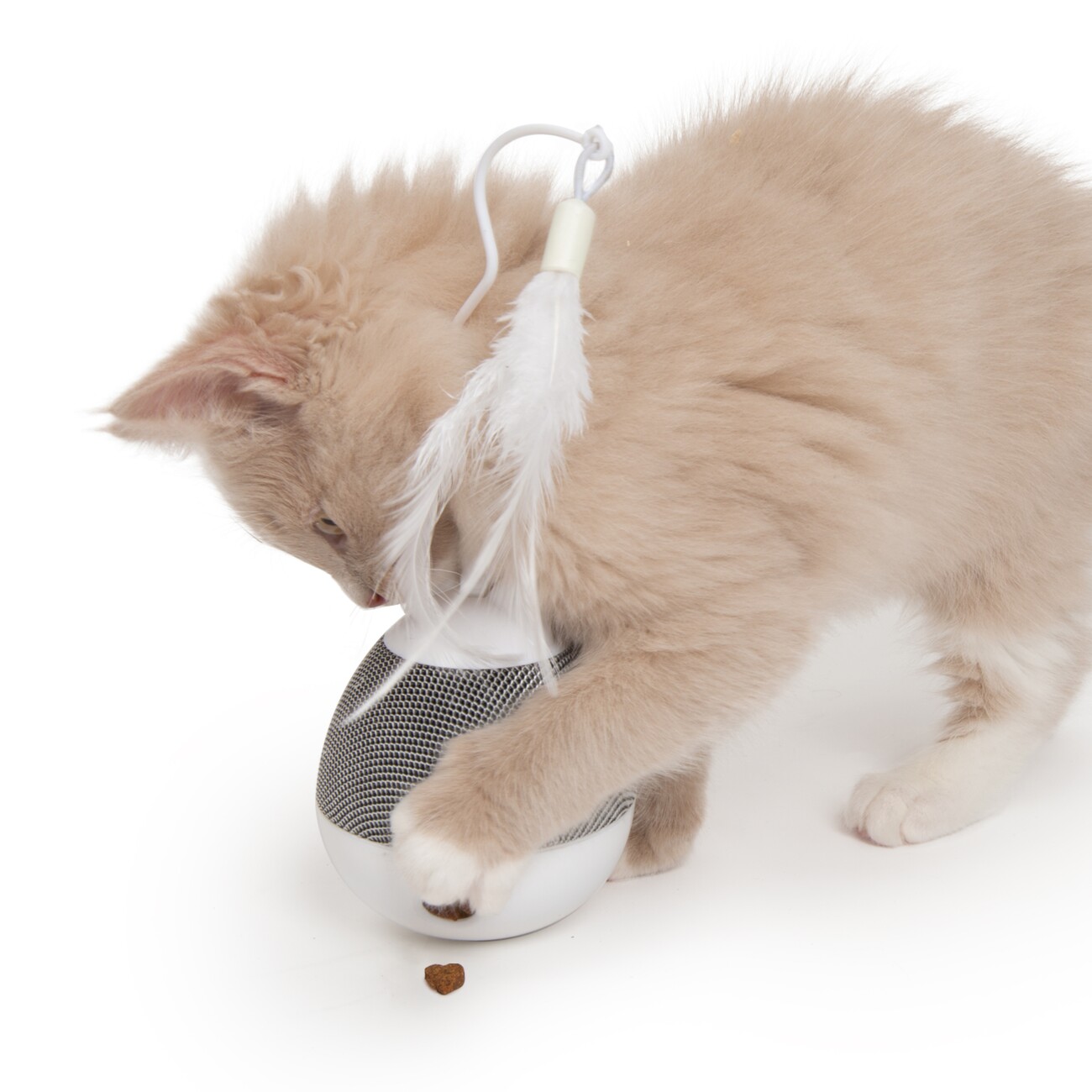 Catit Pixi Kreisel Pfotenaktiviert