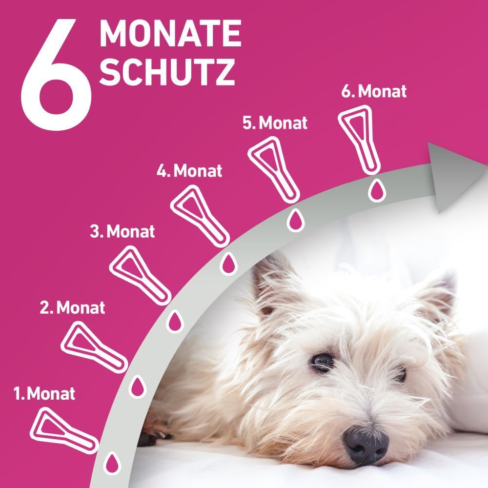 FRONTLINE TRI-ACT® gegen Zecken, Flöhe und fliegende Insekten beim Hund (10-20kg)
