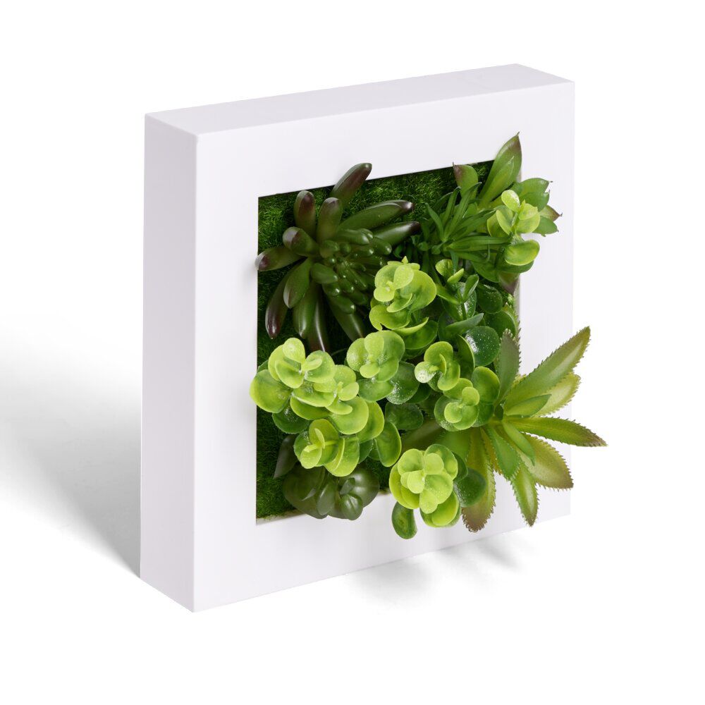 Plante artificielle décoration murale cadre bois noir 20x20cm