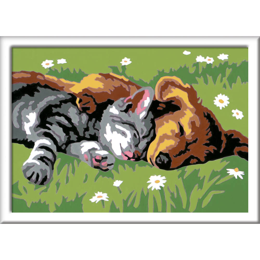 Ravensburger CreArt Schilderen op nummer slapende katten en honden