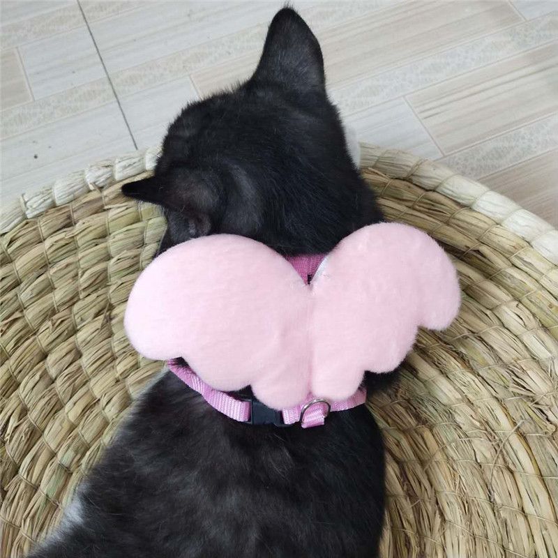 2 nachten - Wings Pet Harness