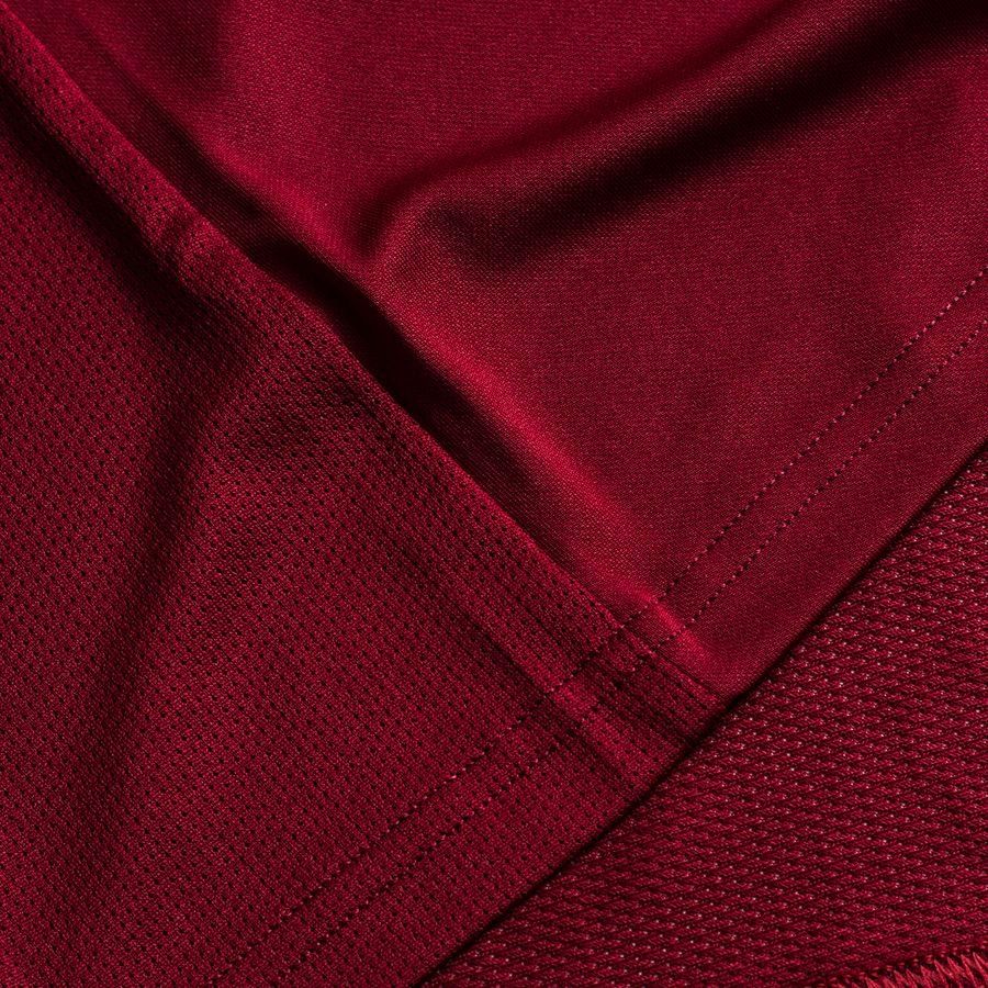 Nike Maillot Dry Park VII - Bordeaux/Blanc