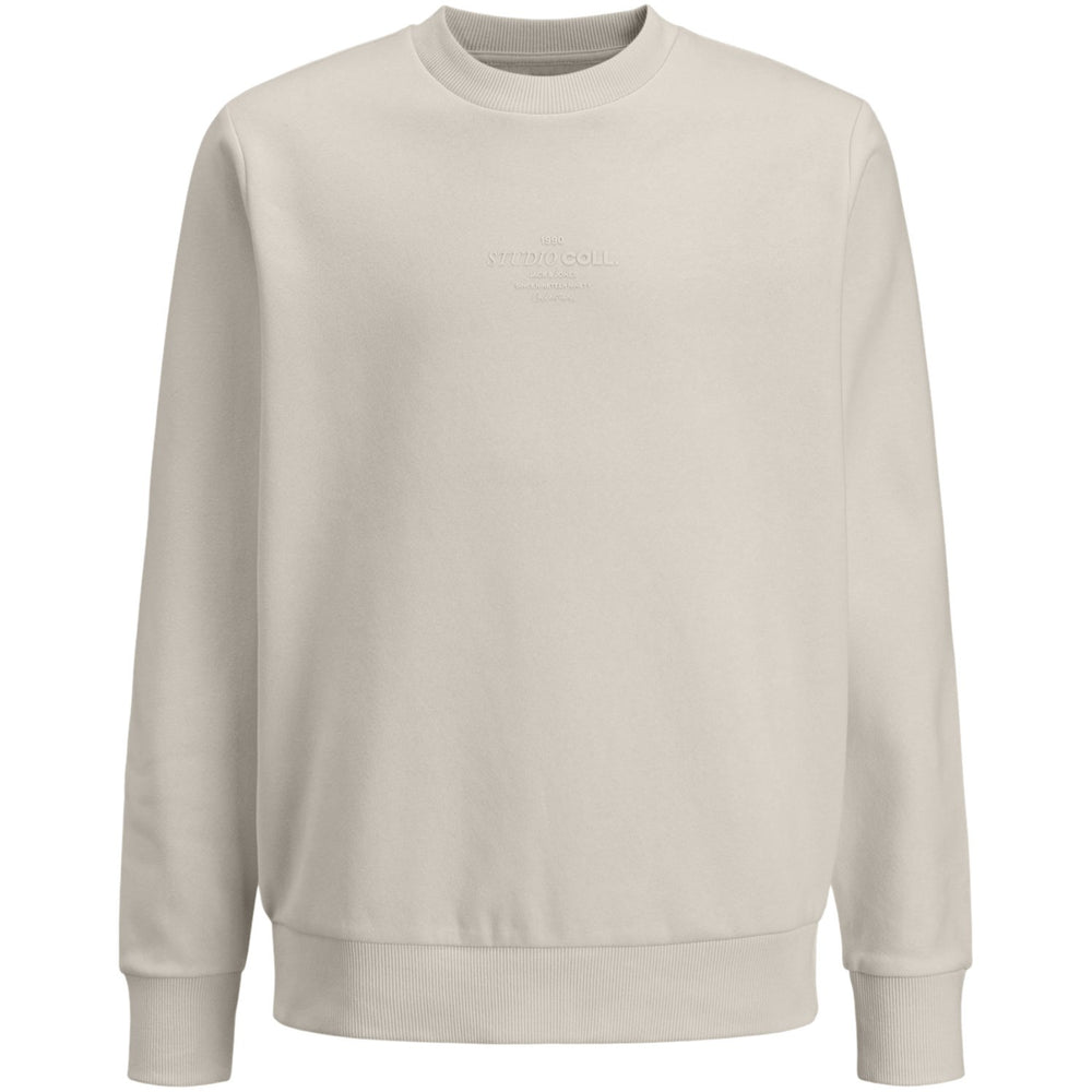 Køb Jack & Jones Junior Moonbeam Jjjin Sweat Crew Neck Jnr