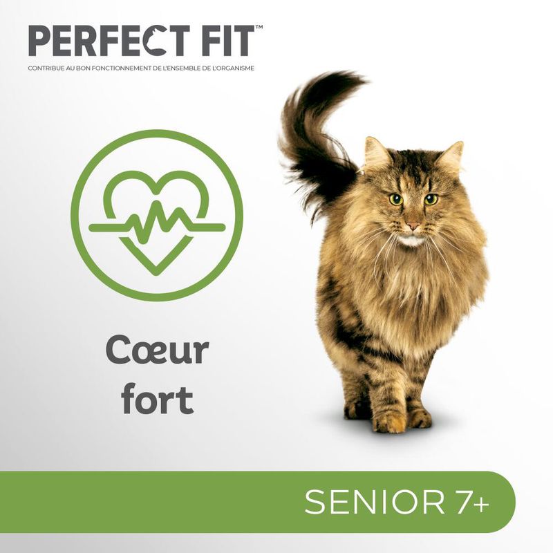 Lot mixte Perfect Fit Senior 7+ Chats stérilisés