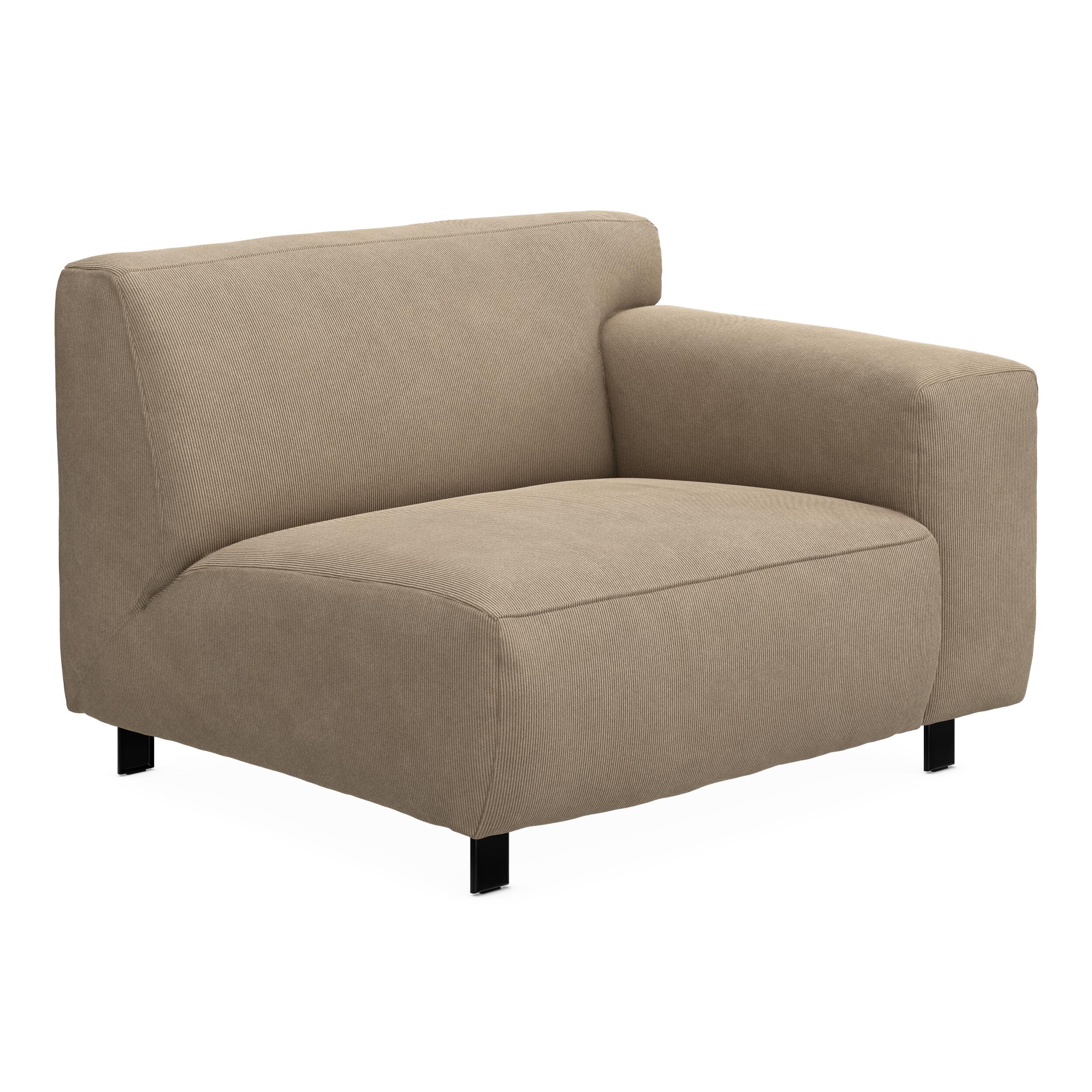 Vesta Endemodul