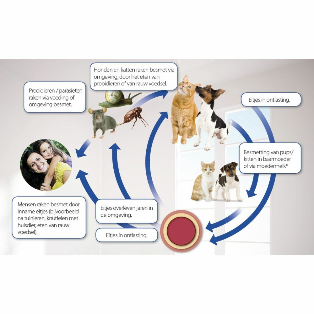 Beaphar Milquestra Ontworming Tabletten Kat 2 - 12 kg4 tabletten