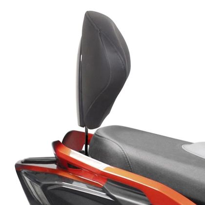 Support Shad pour dosseret scooter