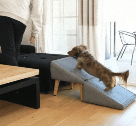 (69x35cm) 2in1 Haustier Rampe Faltbarer Hocker Hunde Leiter Anti-Rutsch Katzen Aufstiegshilfe für Sofa / Bett - Schwarz