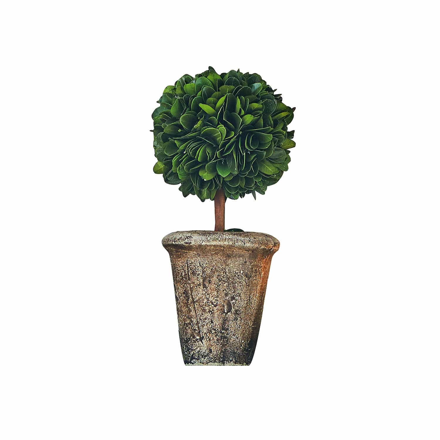 Deko-Baum Aube 20/8 cm